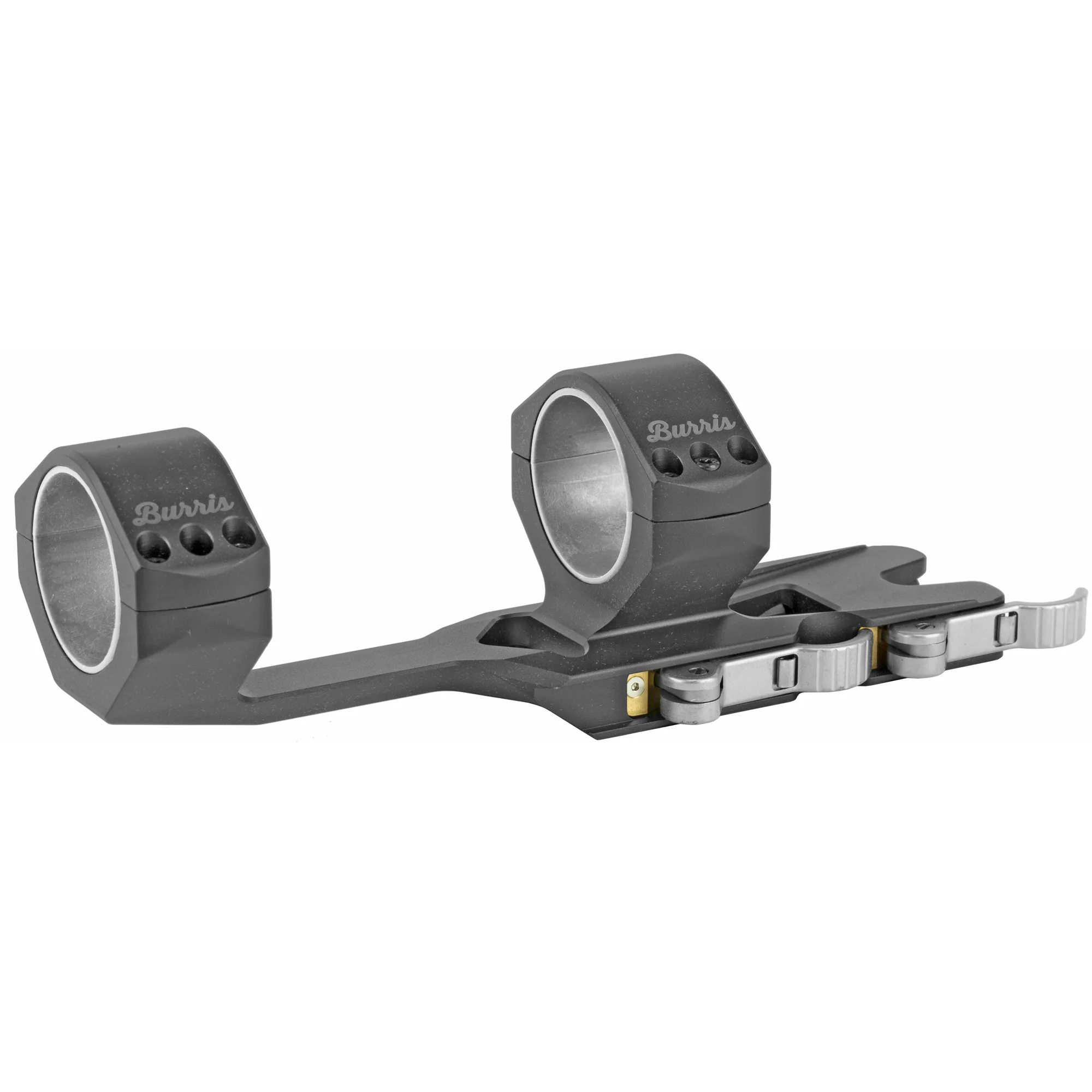 Burris With Picatinny Tops Scope Mounts